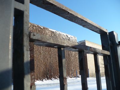 gate-and-skin