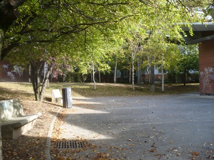 p8autumn2