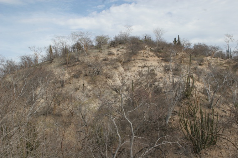 steep hillside