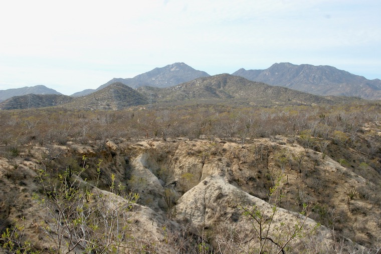 some mountains in the distance
